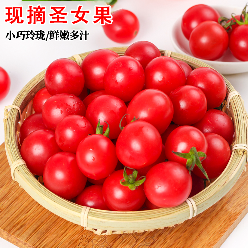 正宗广西圣女果5斤装小番茄柿子小西红柿酸甜水果新鲜采摘