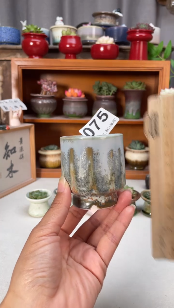 瓷片075小芳花盆直播编号