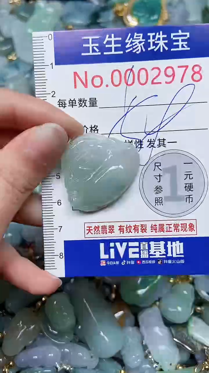 【闪购商品】翡翠颈饰未镶嵌闪购00002978