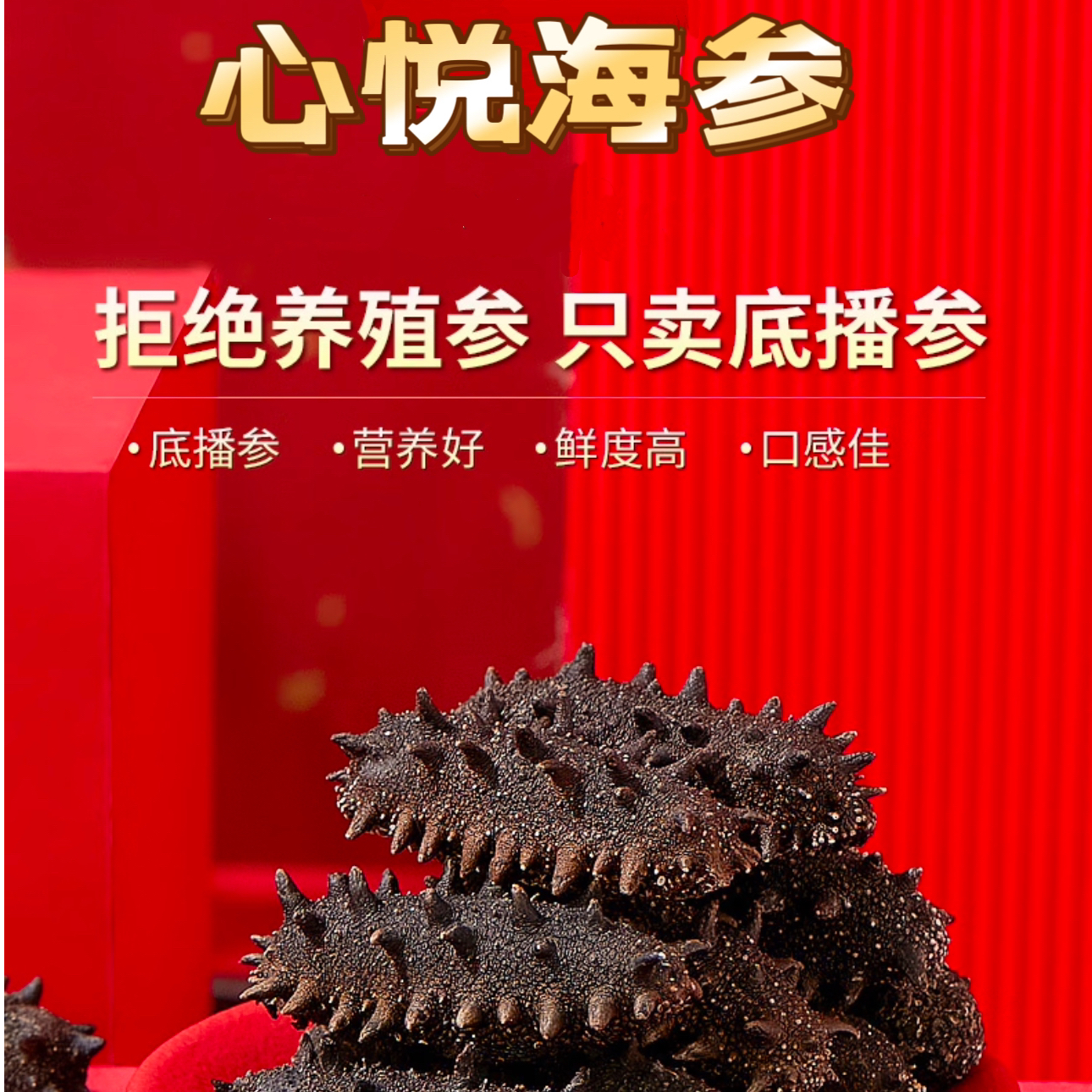 【国标淡干海参】双十一大连辽刺参纯日晒干参100-120头左右/斤