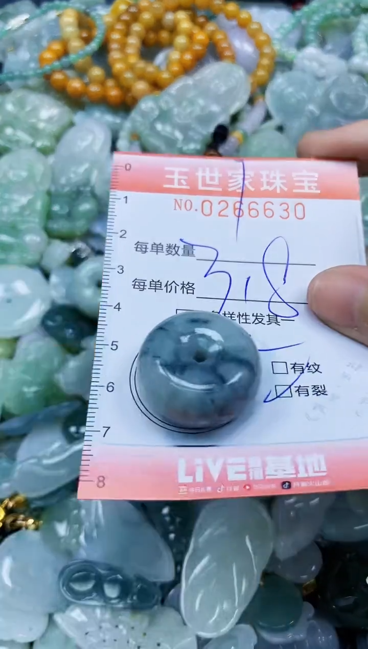 翡翠未镶嵌颈饰闪购0266630