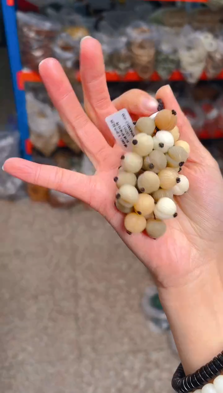 吊坠菩提根/象牙果屁桃葡萄串挂件