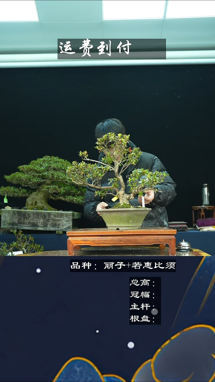 【闪购商品】无00722