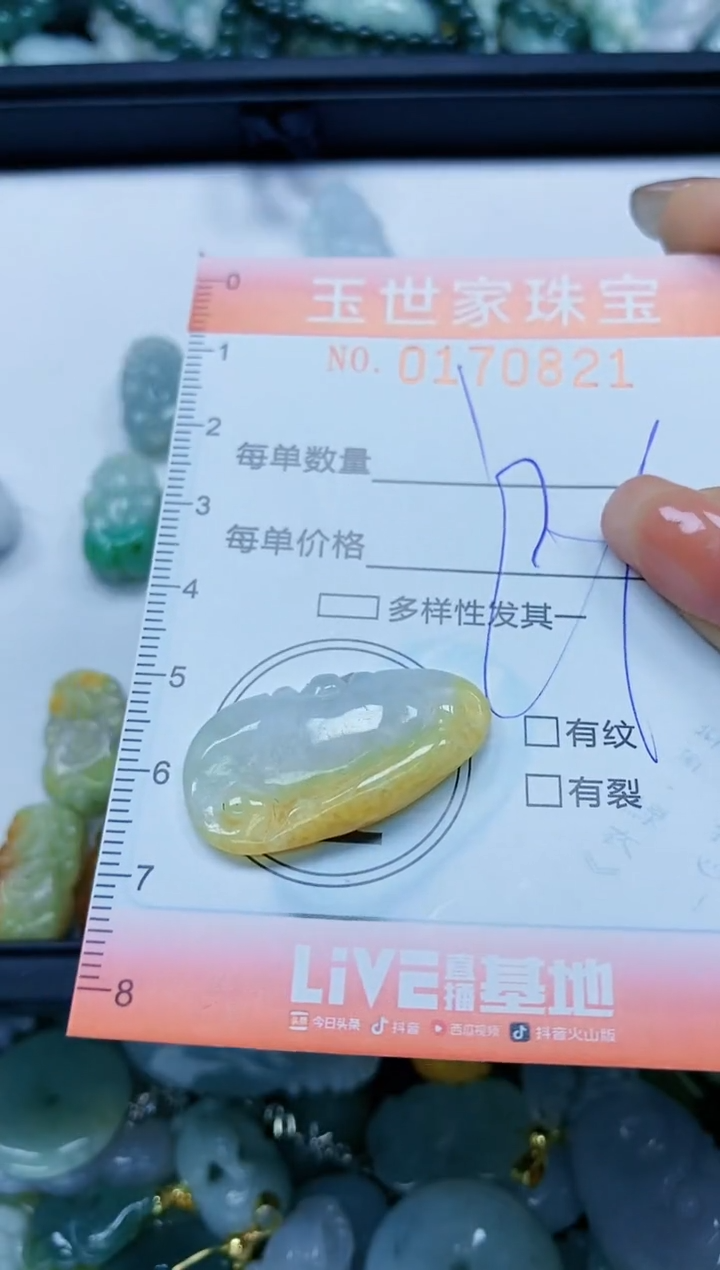 【闪购商品】翡翠颈饰未镶嵌闪购0170821