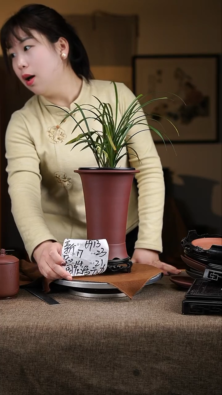 【闪购商品】紫砂花盆紫砂花盆6913