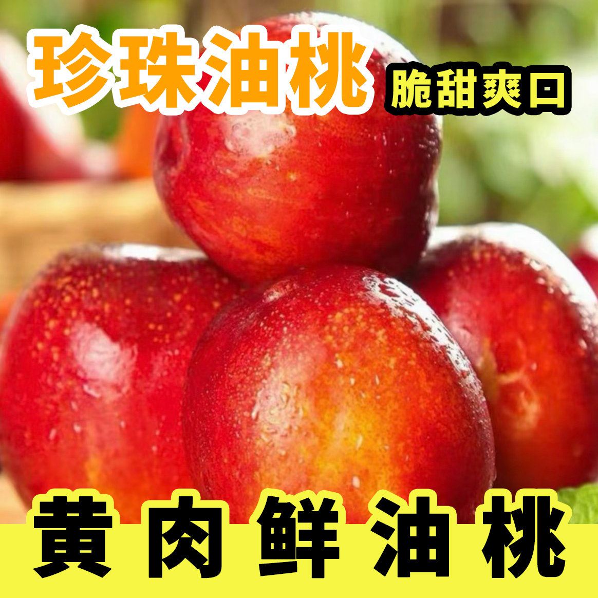 【顺丰包邮】新鲜黄肉油桃珍珠油桃 3 斤装应季水果新鲜脆甜多汁早桃kg装新鲜上市江苏省江苏省