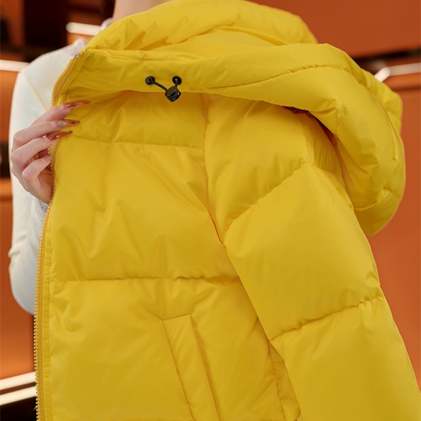 （甄选大朵鸭绒）2025轻奢减龄时髦保暖羽绒服气质连帽外套YR026