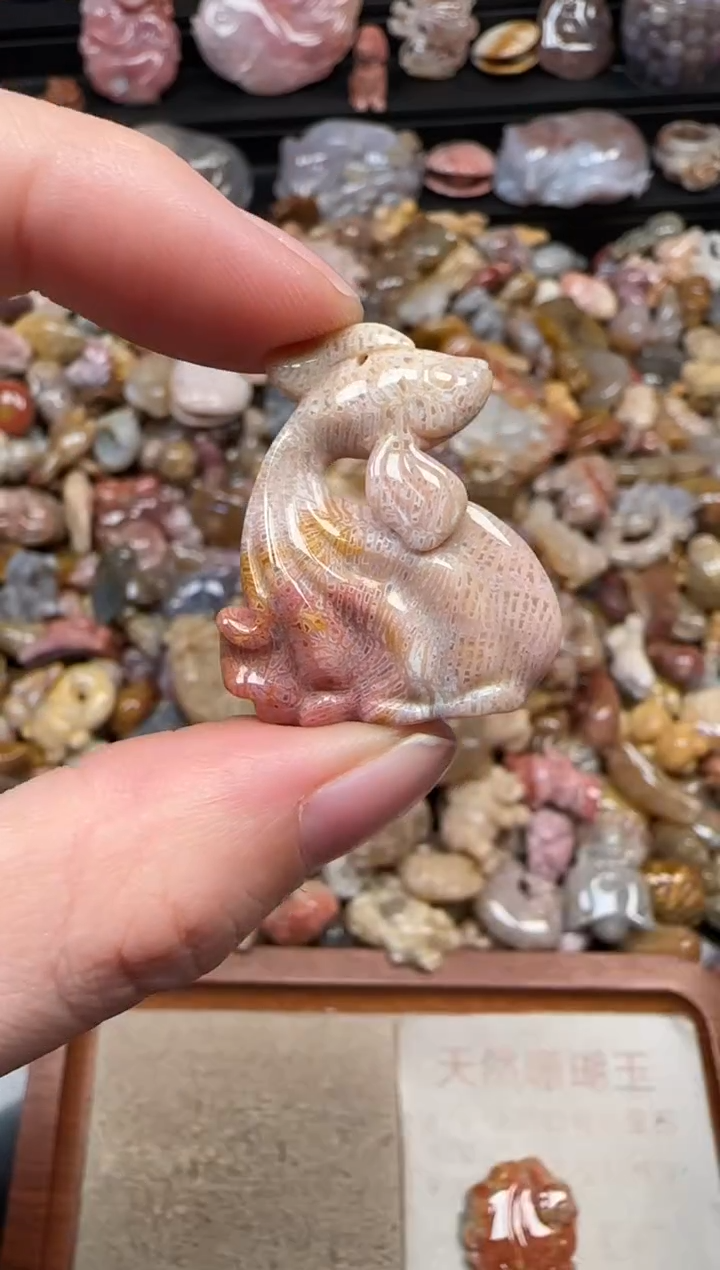 颈饰未镶嵌硅化珊瑚（珊瑚玉）242