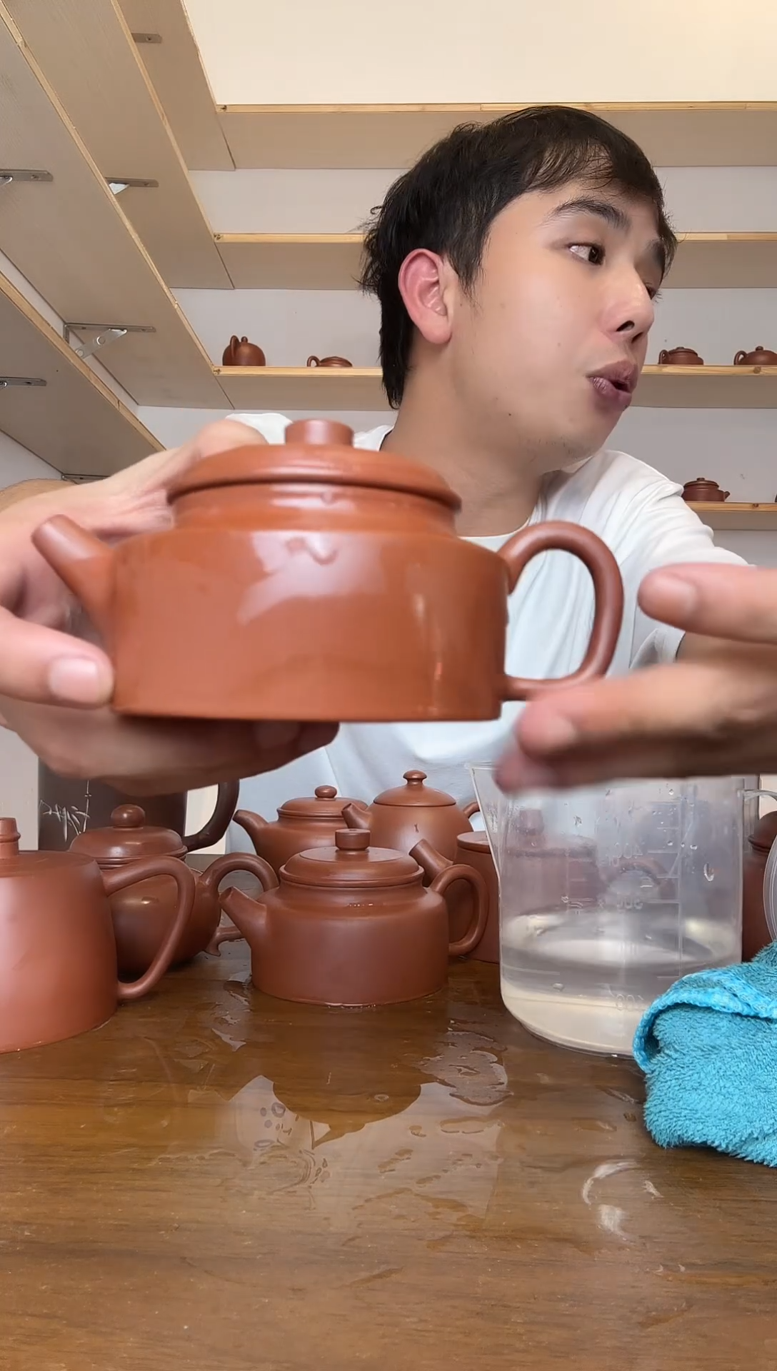 壶钦州原矿手工坭兴陶