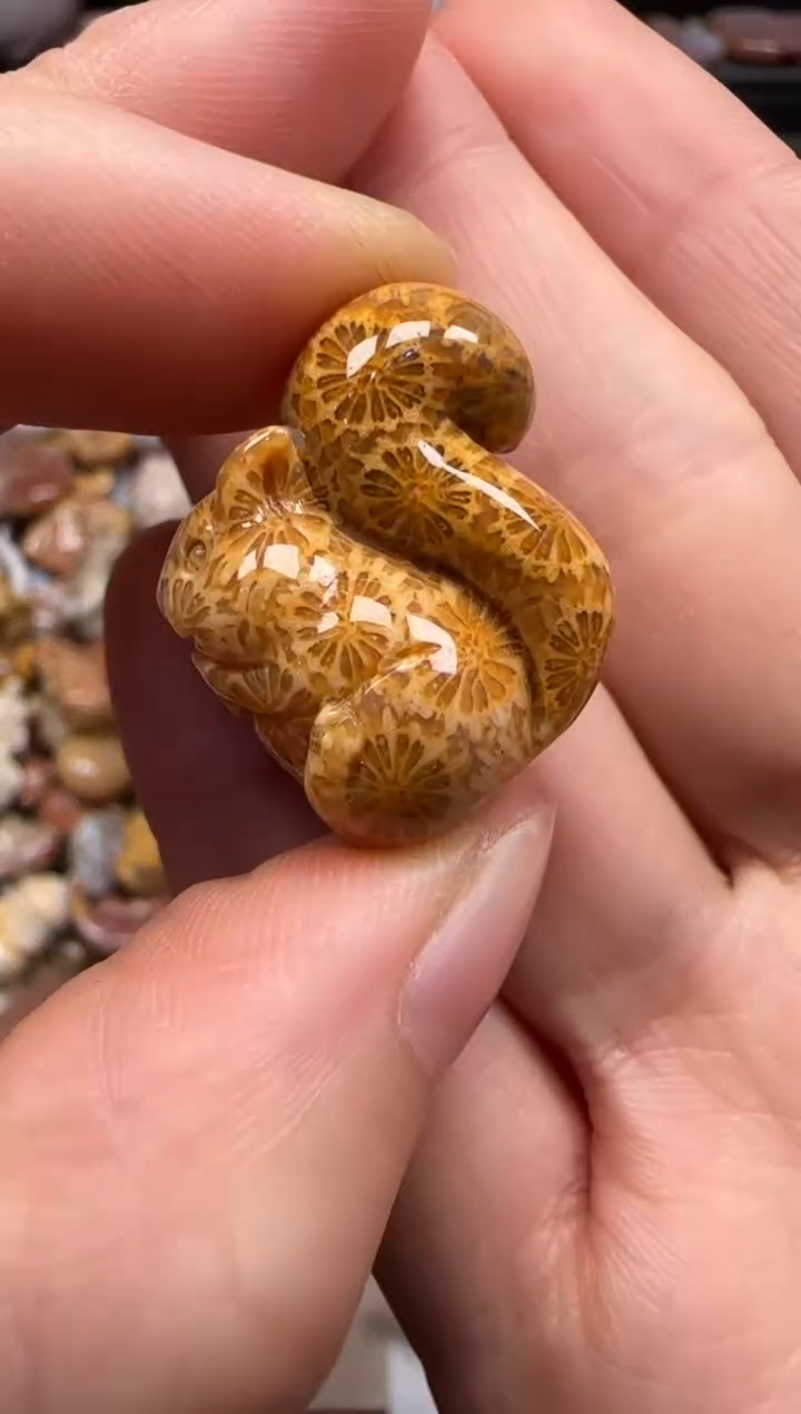 【闪购商品】硅化珊瑚（珊瑚玉）颈饰未镶嵌252