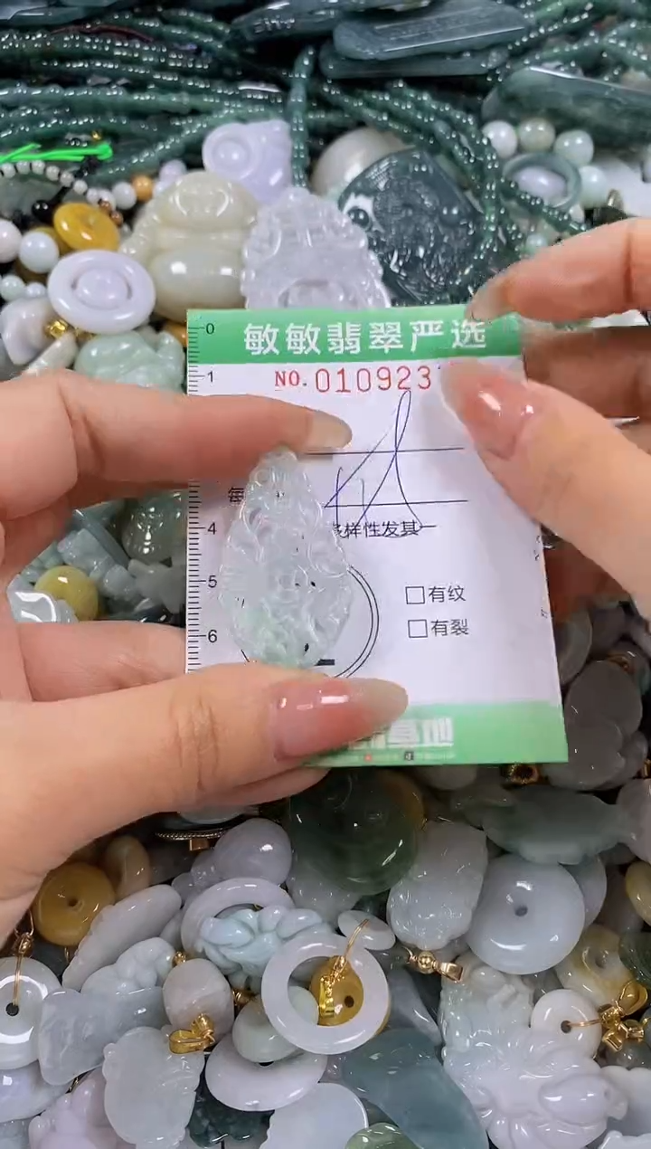 【闪购商品】翡翠颈饰未镶嵌闪购0109233多样性发其一