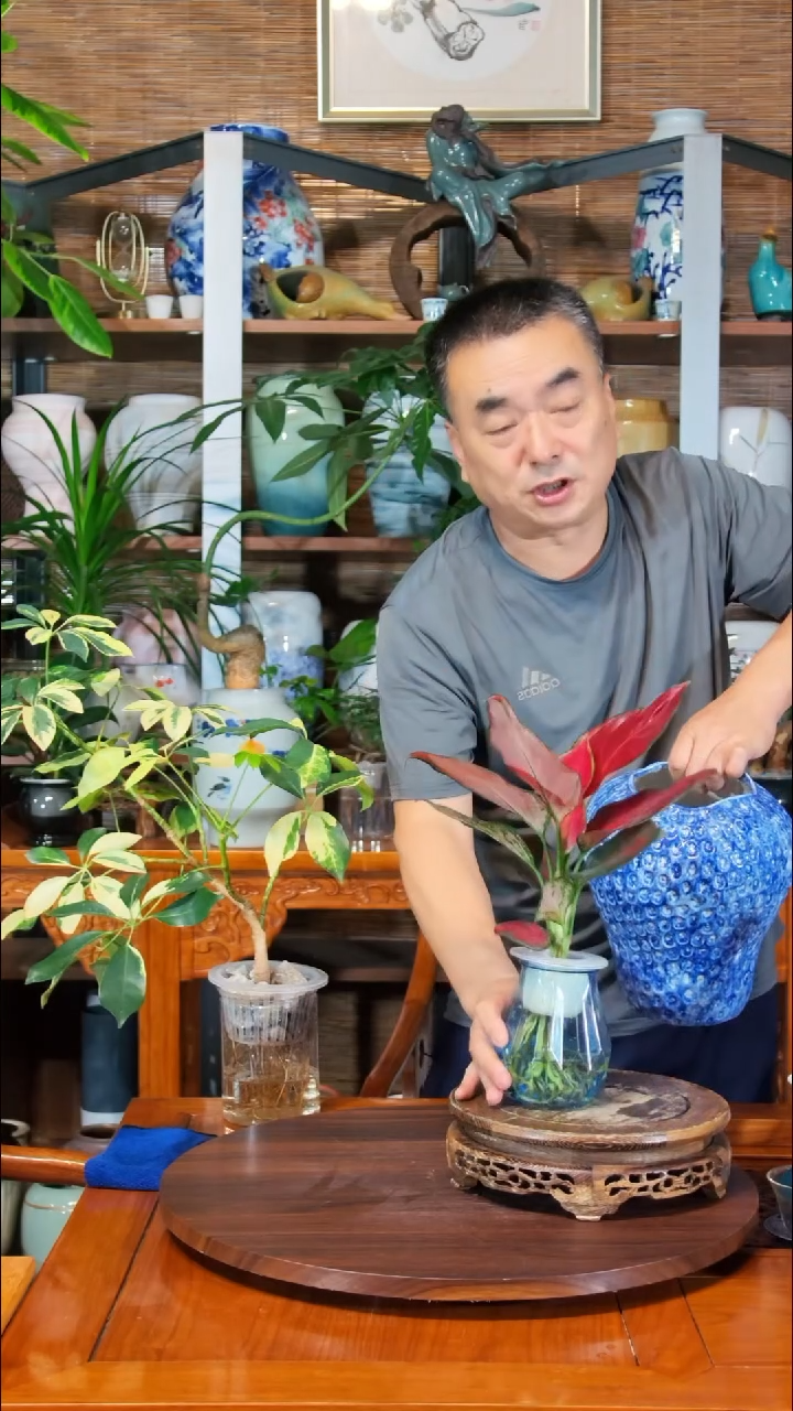 无花朵听****你水之韵水培如意
