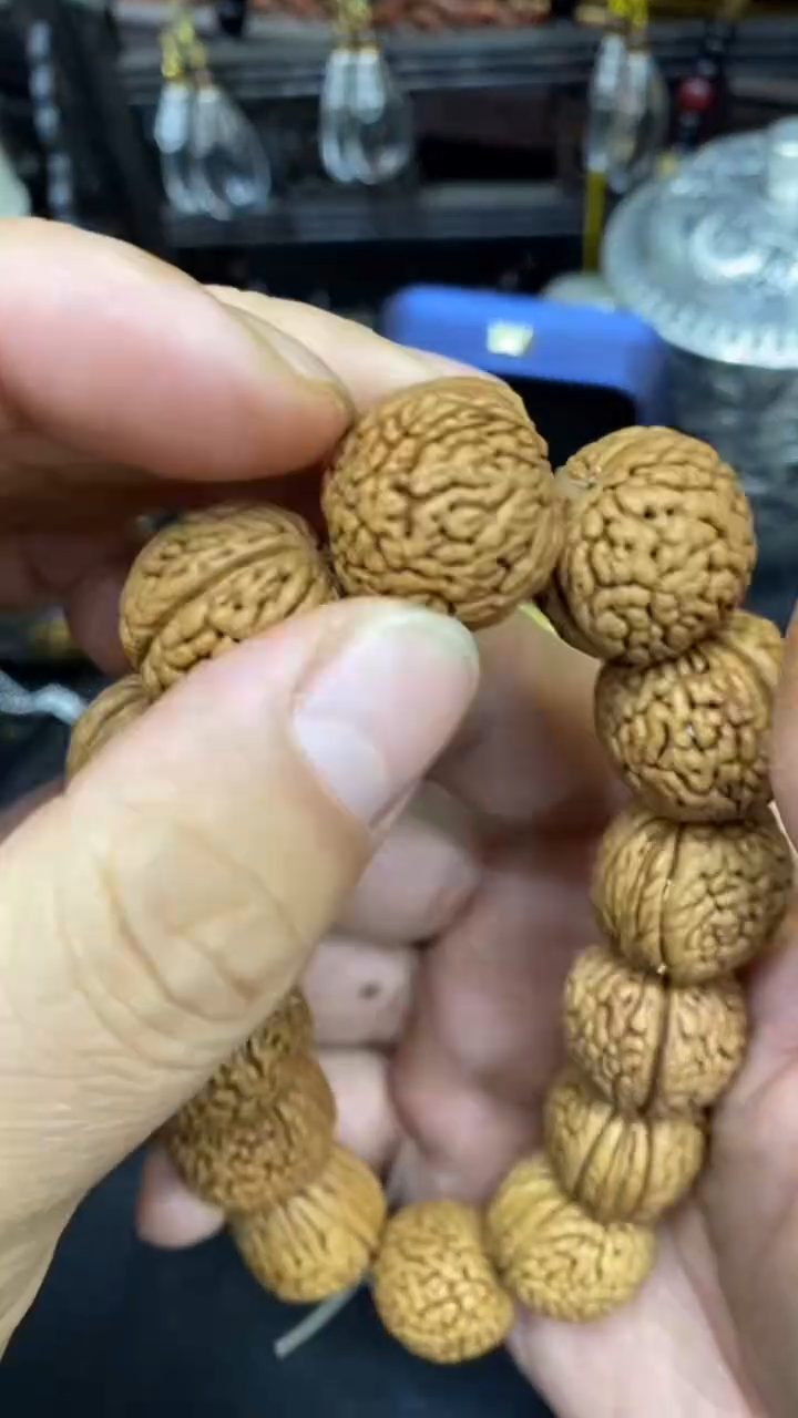 【闪购商品】其他                  