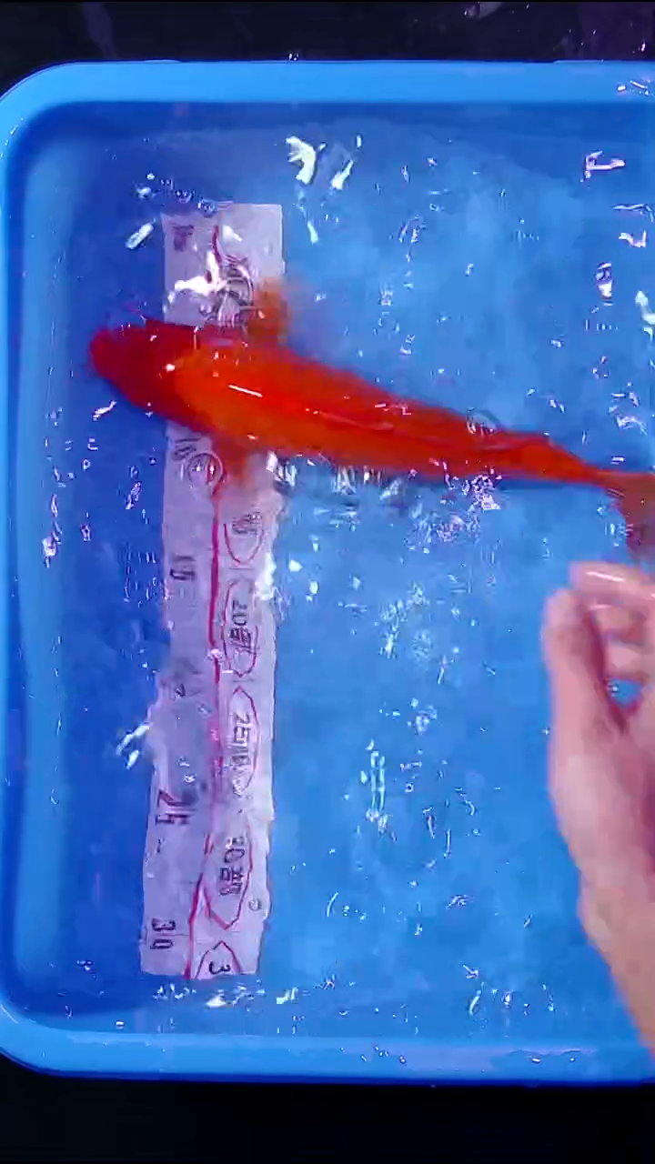 锦鲤直播间菁选对版发货 15