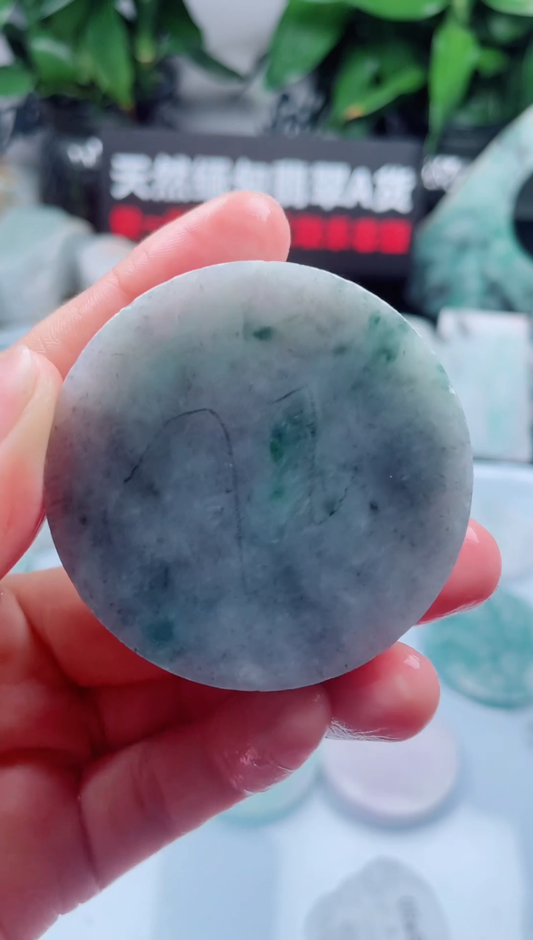 翡翠未镶嵌颈饰华803