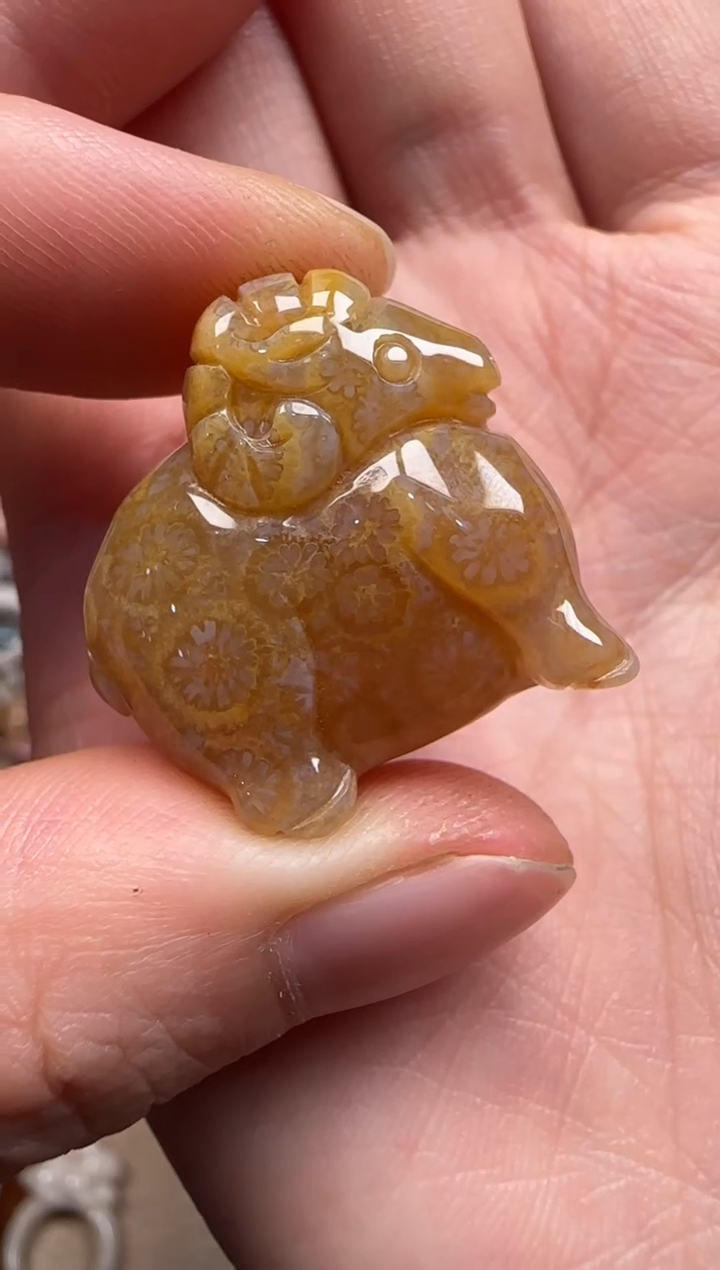 【闪购商品】硅化珊瑚（珊瑚玉）颈饰未镶嵌091