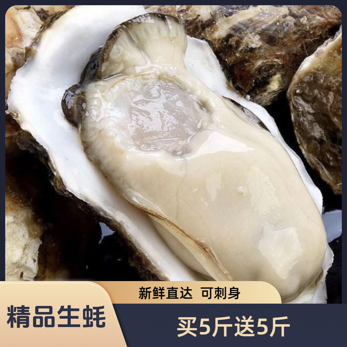 【精品帝王蚝4-6两】正宗精品生蚝买5斤送5斤到手10斤可刺身