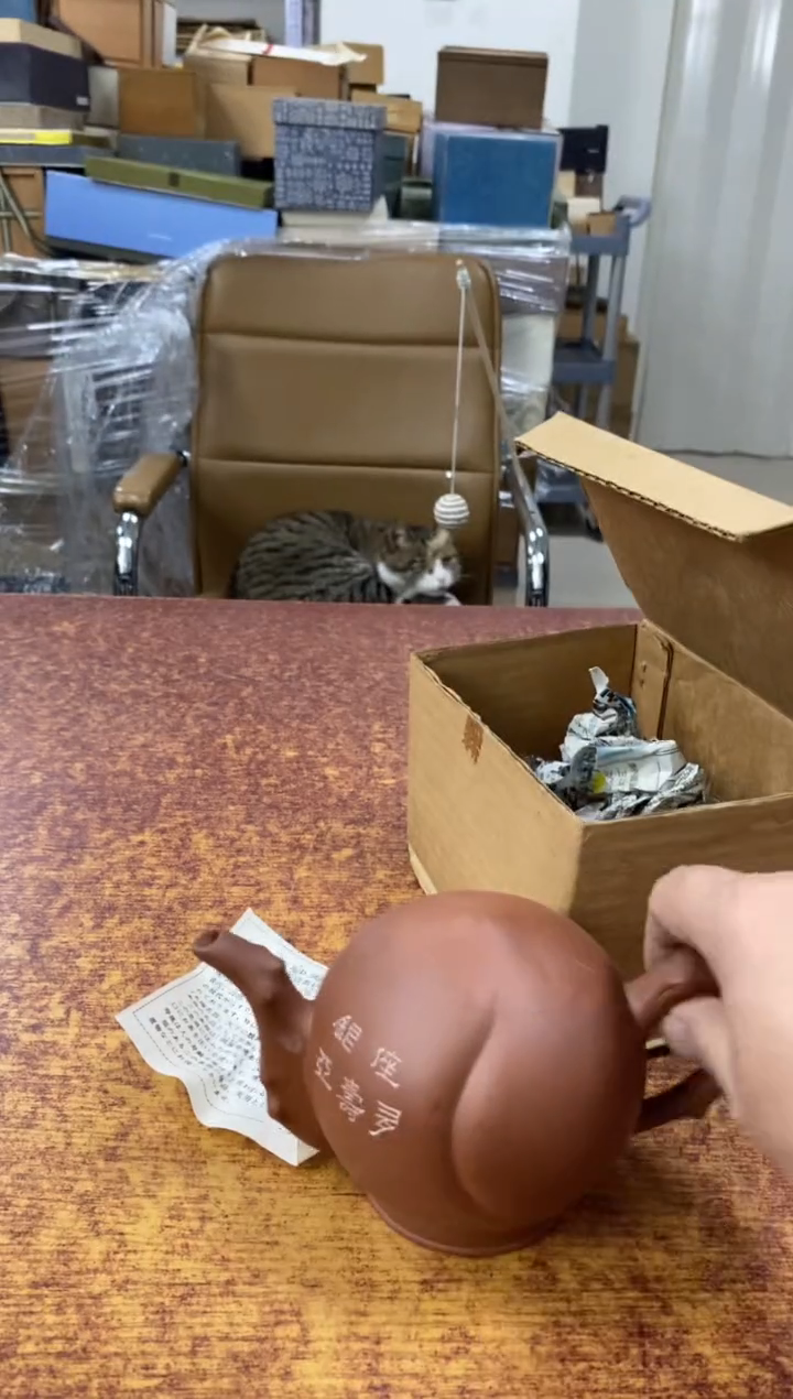 瓷片926小林轩欢迎您