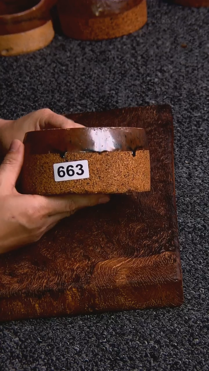 【闪购商品】碟器而不舍........663