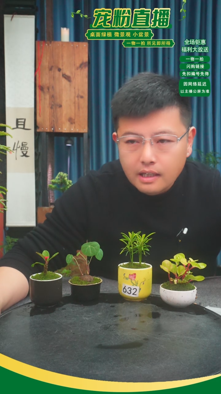 无花朵淞****P苔藓微景观632号
