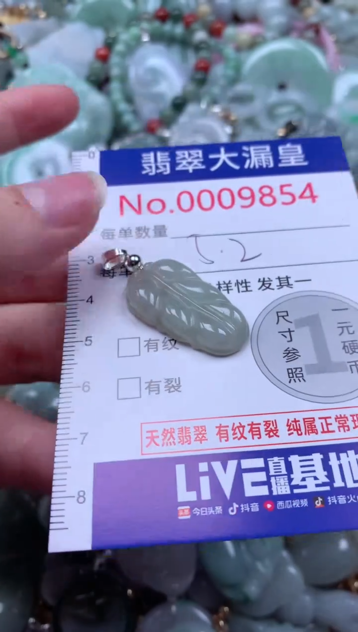 翡翠未镶嵌吊坠(不含链)9854