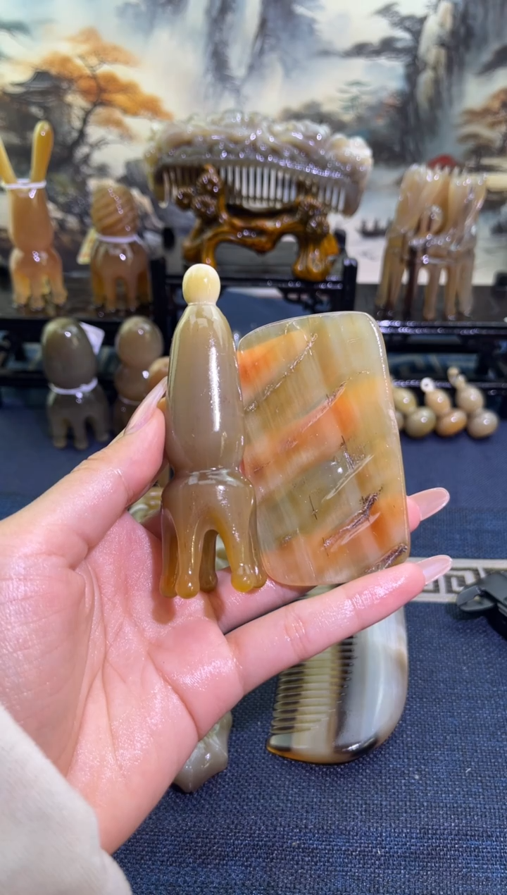 白水牛角带点章鱼 一组