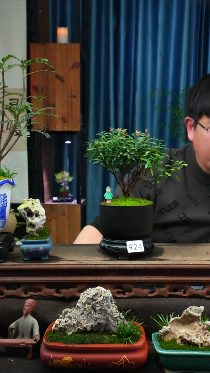【闪购商品】苔藓微景观924号