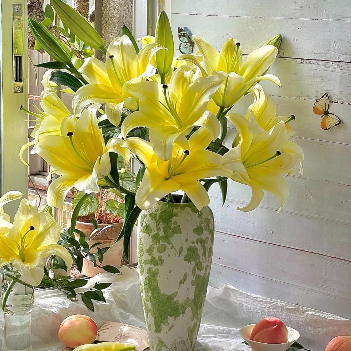 （百合类鲜花）任意2把花一个运费不包邮（加购物车一起付款）