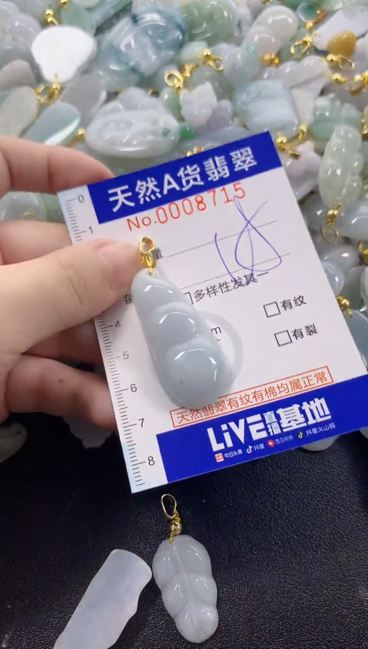 颈饰未镶嵌翡翠天然A货翡翠