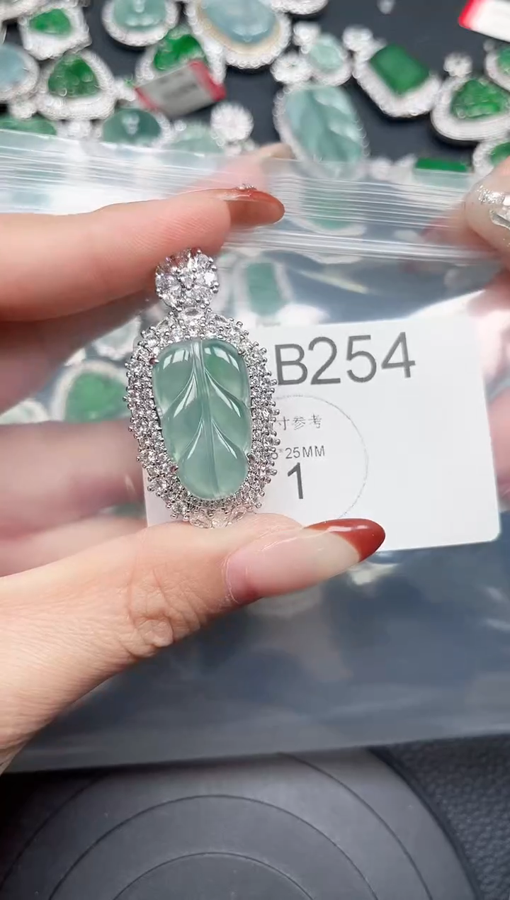 【闪购商品】翡翠颈饰未镶嵌赠皮绳254