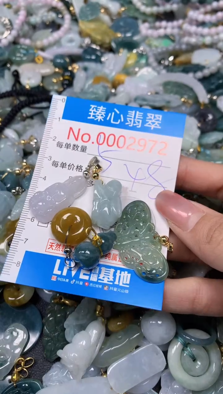 【闪购商品】翡翠颈饰未镶嵌含绳0002972