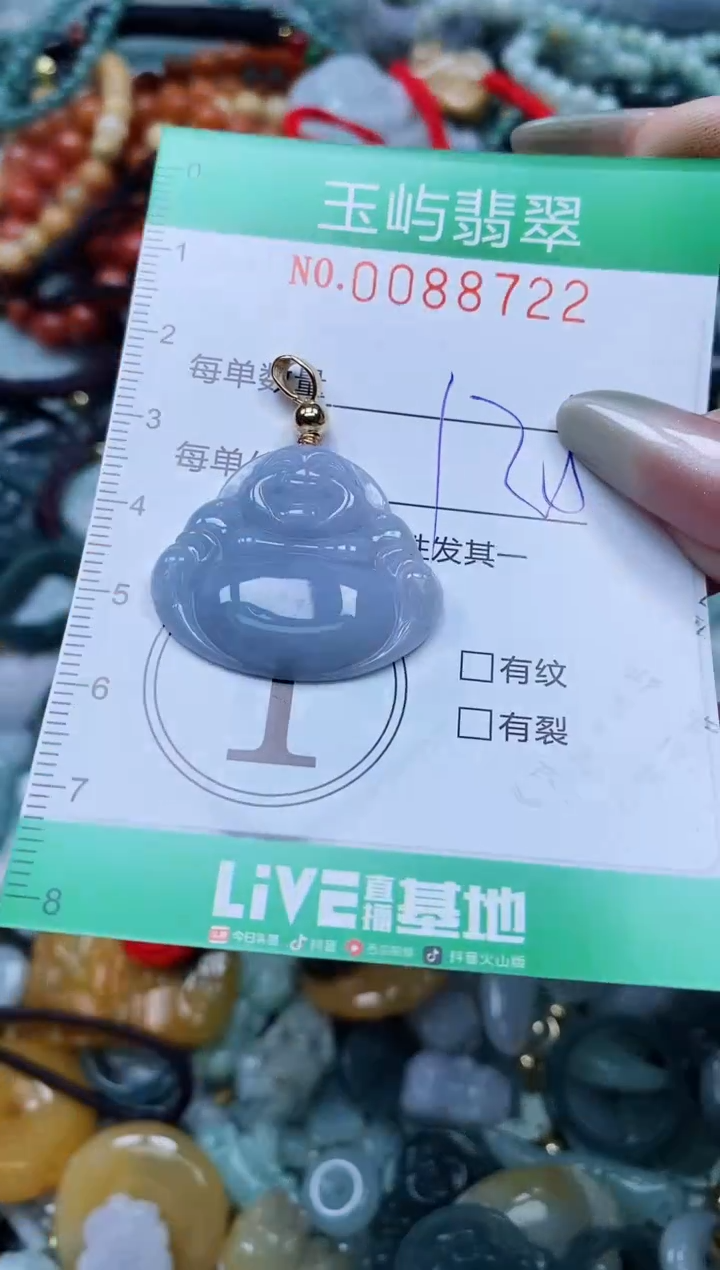 【闪购商品】翡翠颈饰未镶嵌闪购0088722