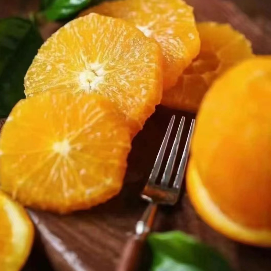 【蓝鲸小掌柜】蜜橙小镇江西赣南脐橙一箱5.5-6斤左右