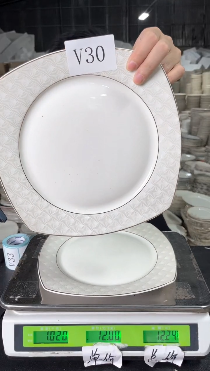 新骨瓷V30  10寸  2个