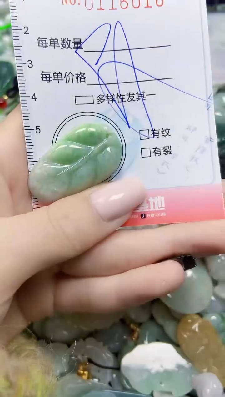 【闪购商品】翡翠颈饰未镶嵌闪购0116016