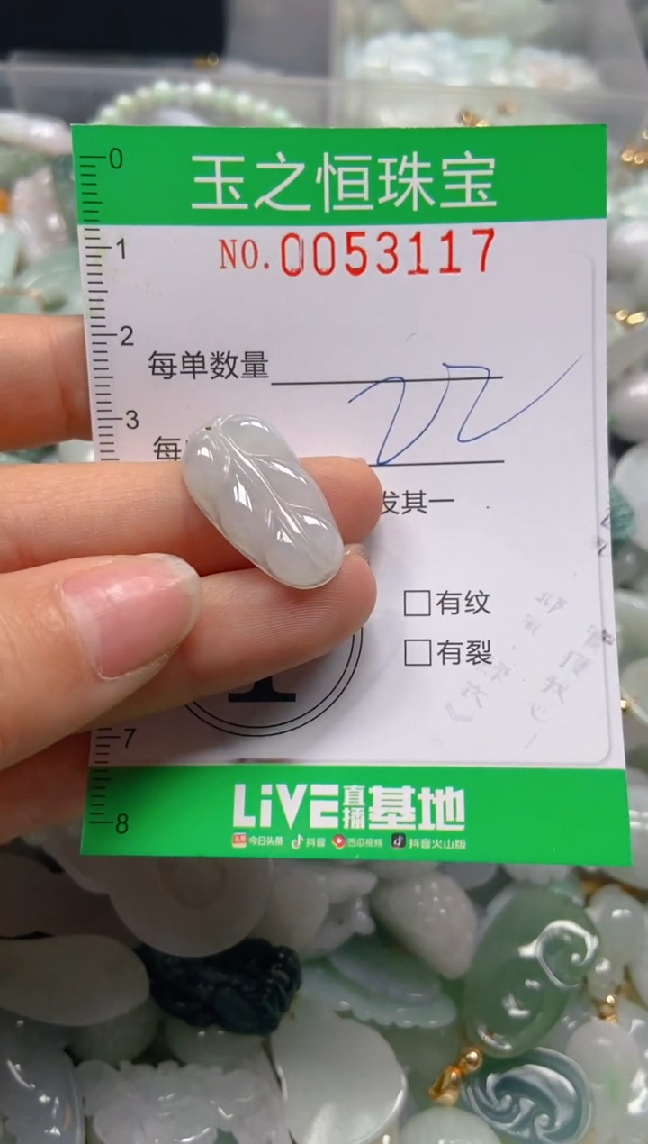 【闪购商品】翡翠颈饰未镶嵌闪购0053117