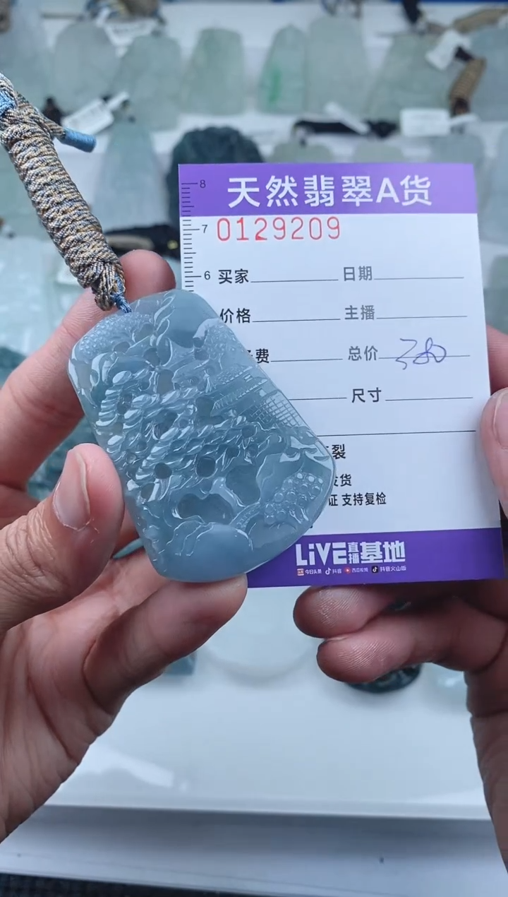 【闪购商品】翡翠颈饰未镶嵌        209