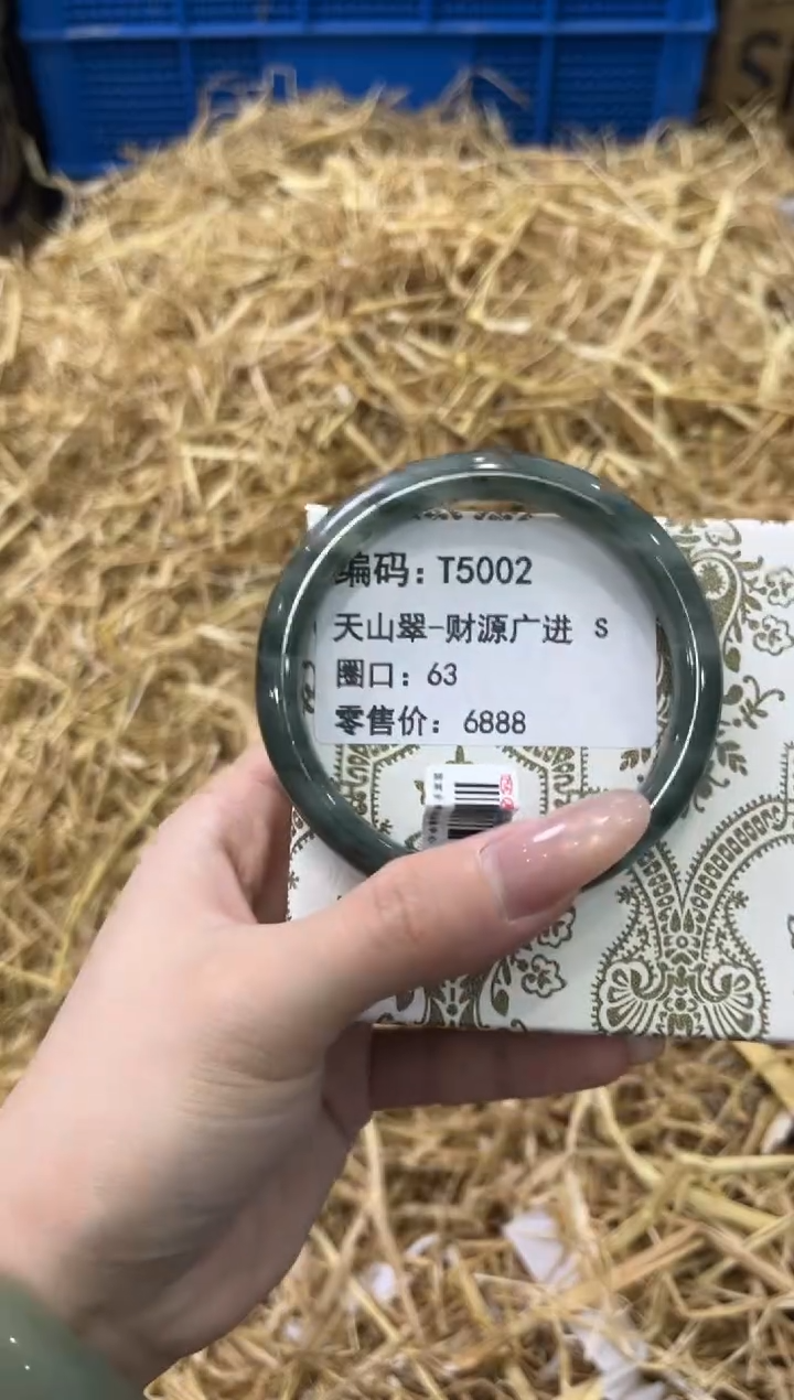 未镶嵌手镯石英质玉T5002