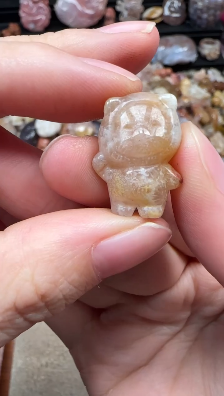 颈饰未镶嵌硅化珊瑚（珊瑚玉）306