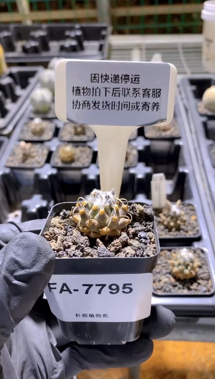 【闪购商品】安德森FA-7795