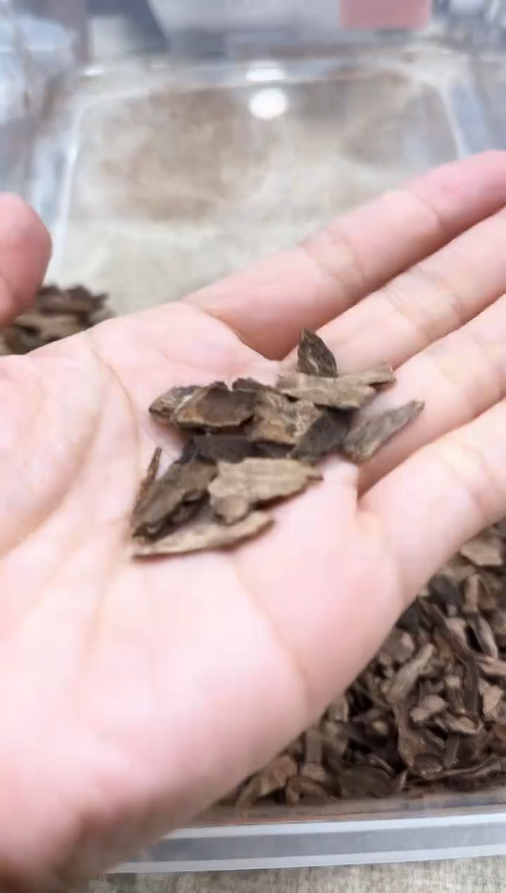 【闪购商品】沉香沉香碎屑回流惠安沉水碎料一克