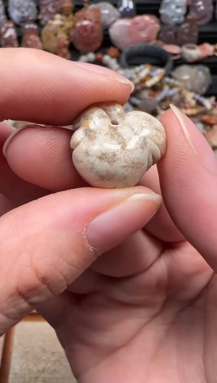 颈饰未镶嵌硅化珊瑚（珊瑚玉）519