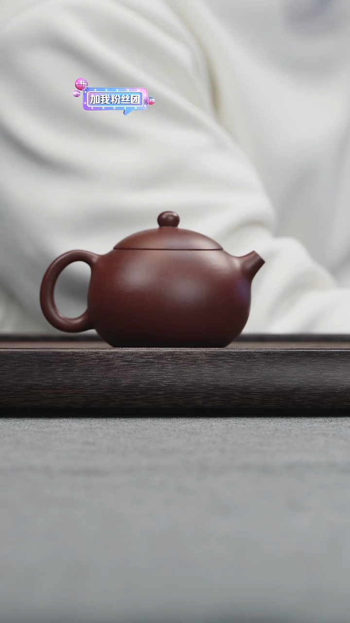 茶壶紫砂特练紫泥西施