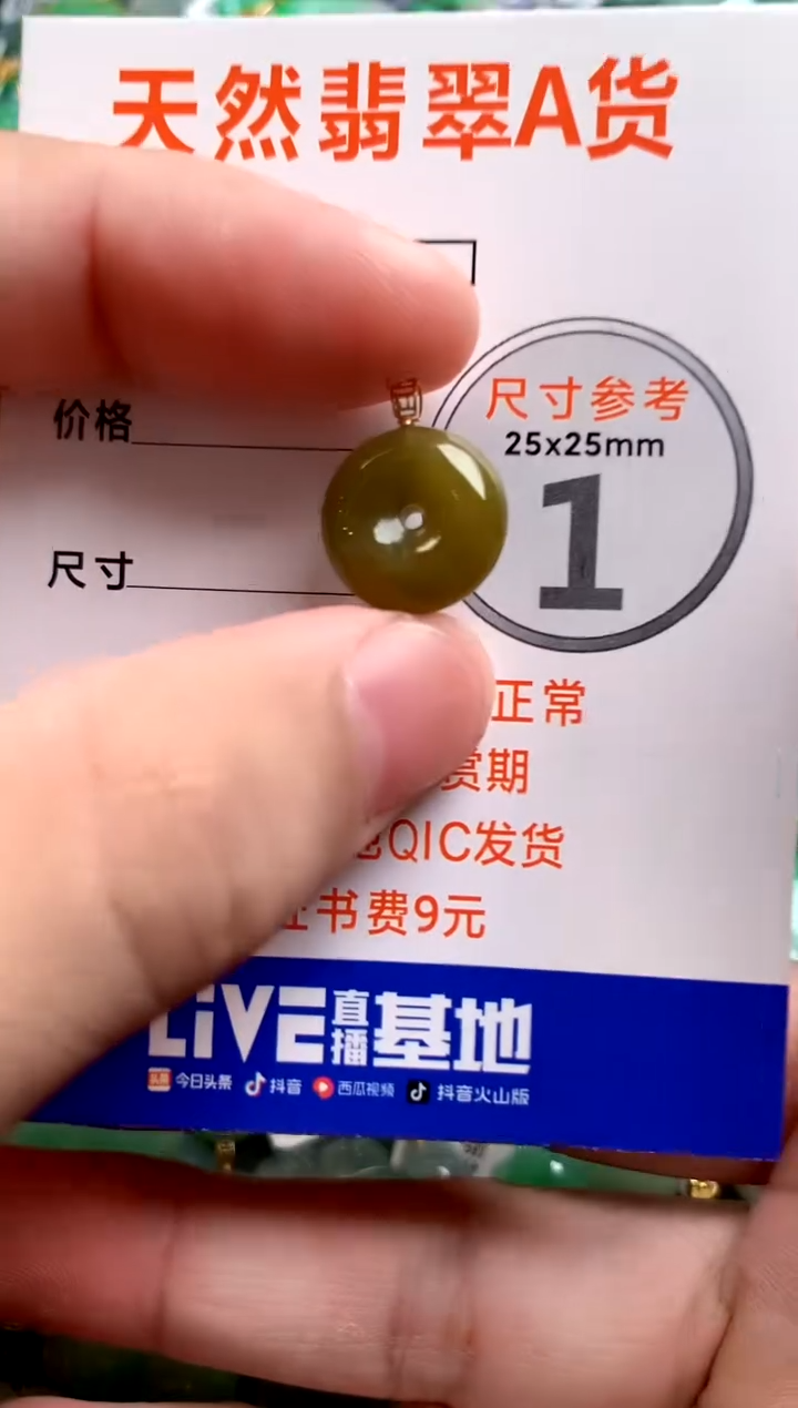 颈饰18K金镶嵌翡翠14004821