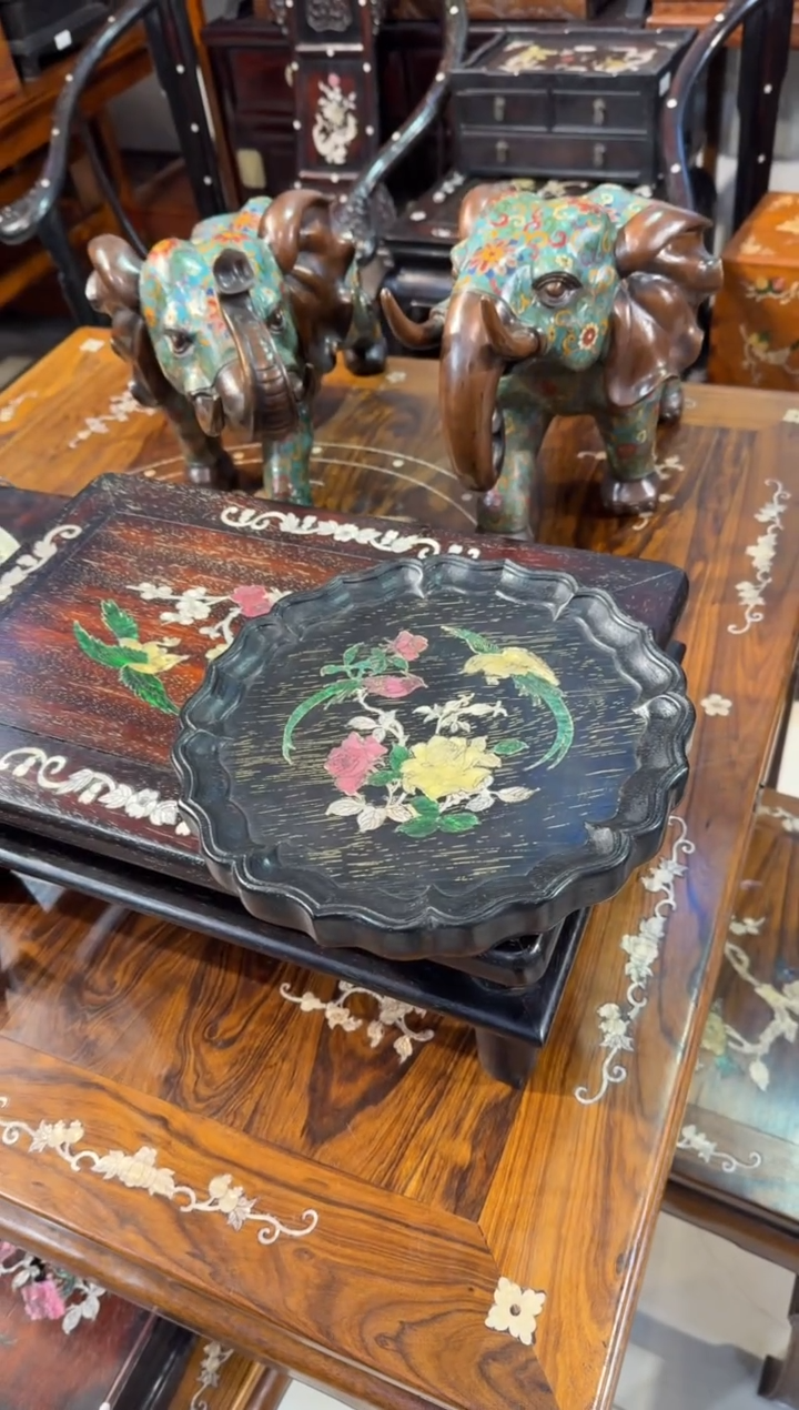 木长尾鸟圆盘88.888888