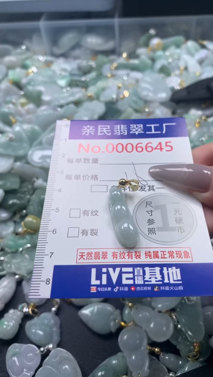 颈饰未镶嵌翡翠6645