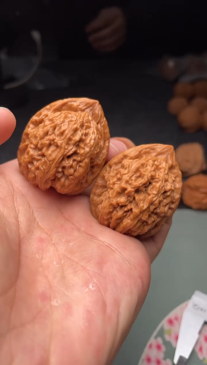 把件文玩核桃a67  蚂蚁王 36尺