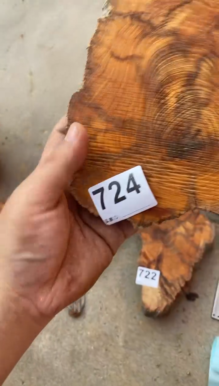 柏木（崖柏）太行陈化崖柏切片一片724