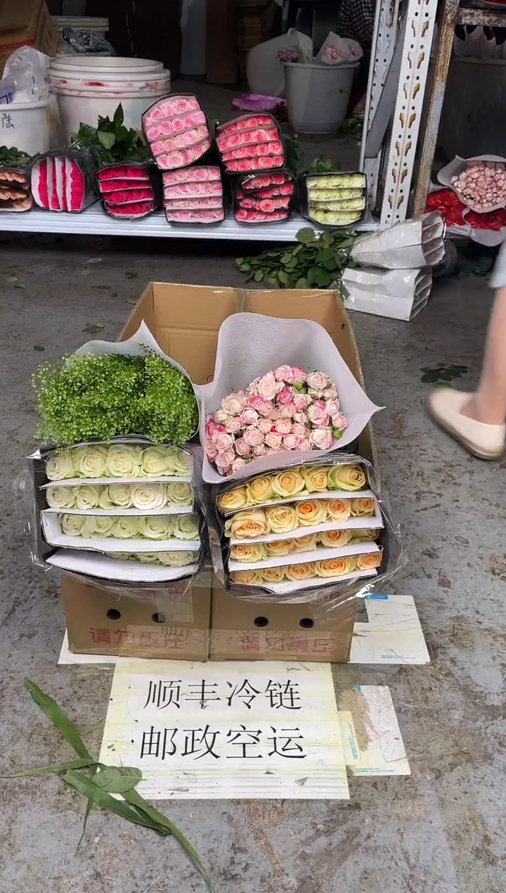 白雪山20枝+香槟20枝+折射+绿林草