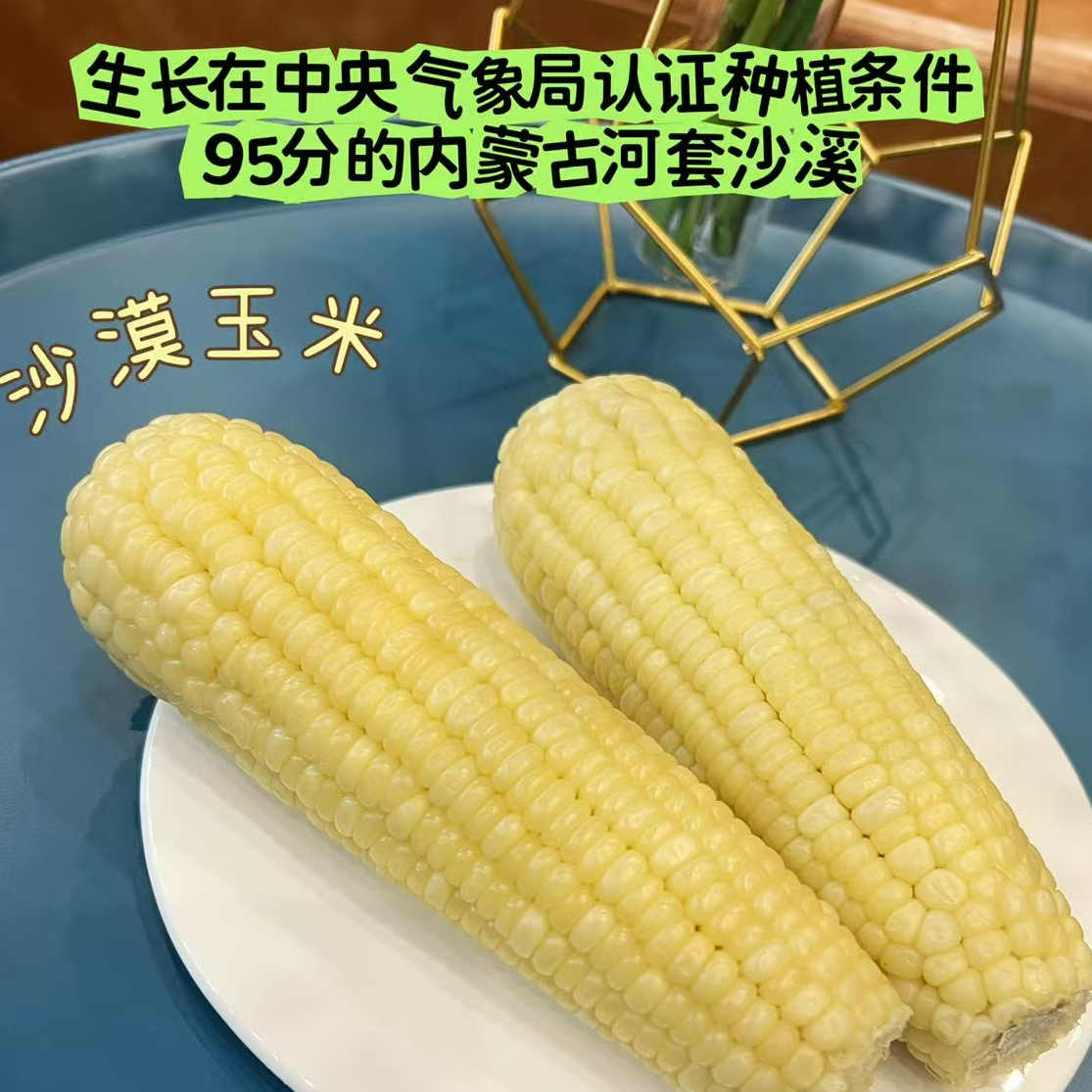 【蓝鲸小掌柜】沙域香内蒙甜嫩糯玉米冷冻玉米一箱10根单根260g